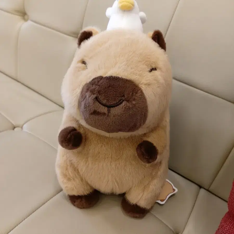 오리 카피바라짱 카피바라 봉제인형 25cm