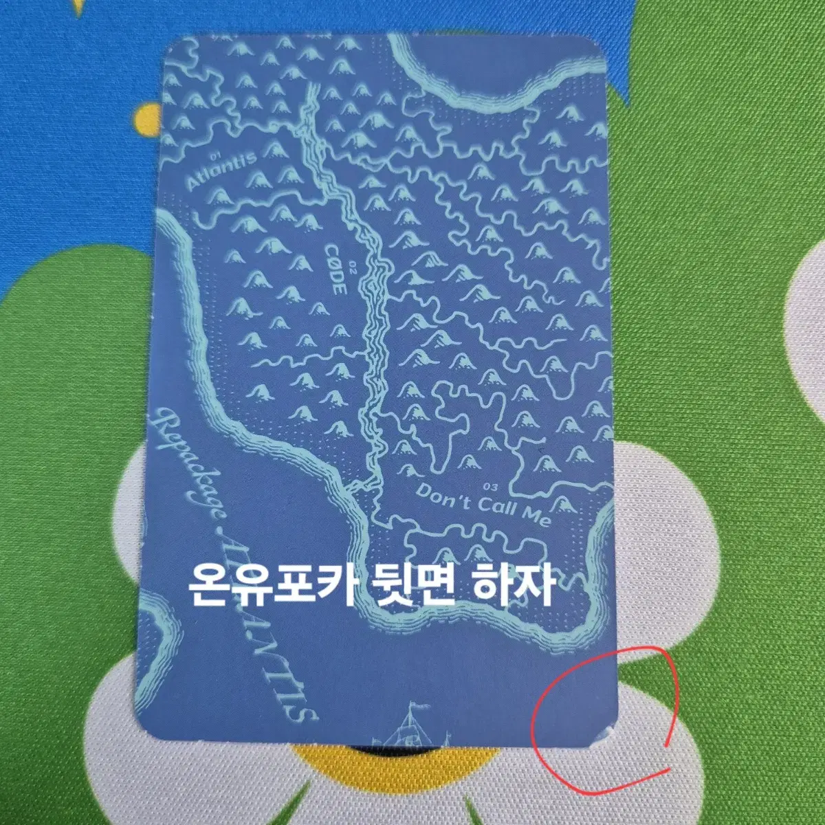 샤이니 아틀란티스 포카