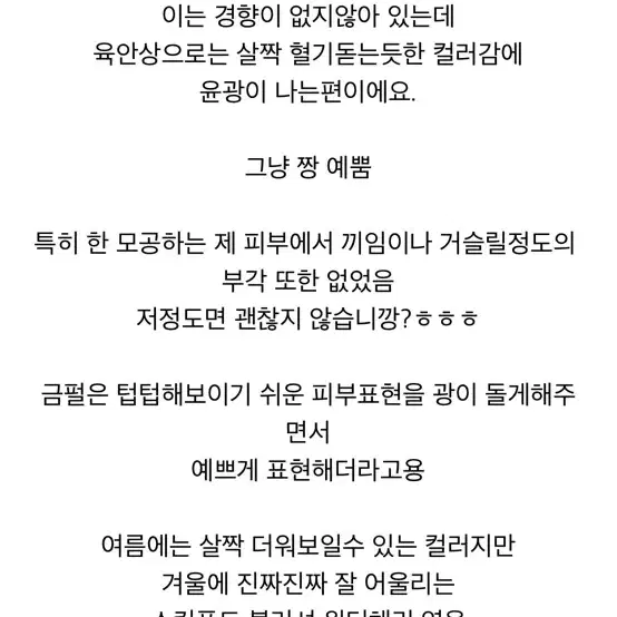 스킨푸드 슈가 쿠기 블러셔 윈터체리