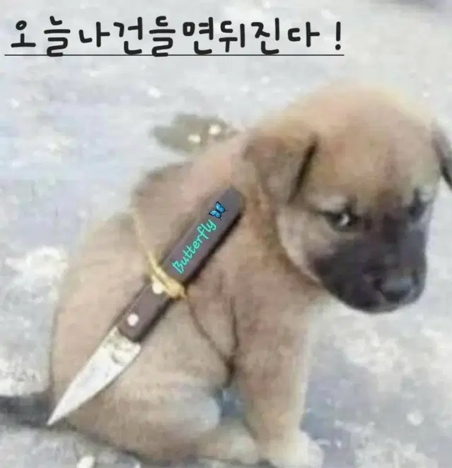 디월트 배터리 수리 합니다~