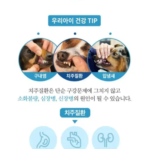 강아지 유산균 영양제 300억짜리