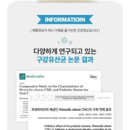 강아지 유산균 영양제 300억짜리