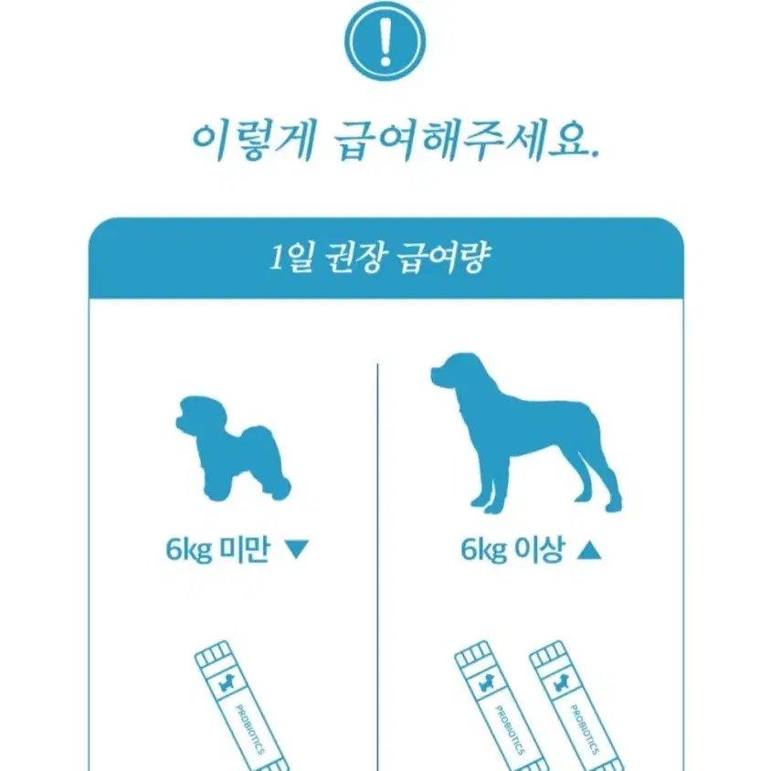 강아지 유산균 영양제 300억짜리