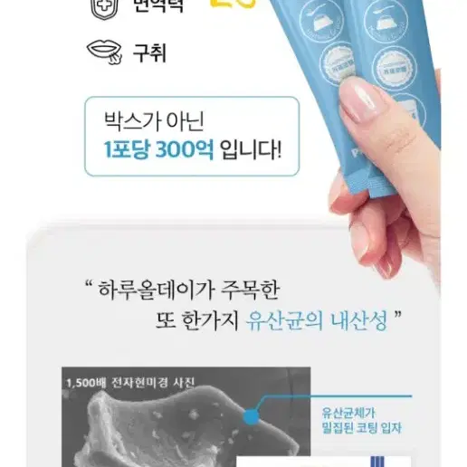 강아지 유산균 영양제 300억짜리