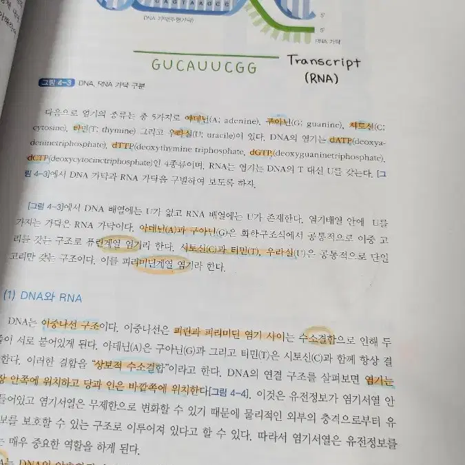 핵심가호미생물과 감염관리