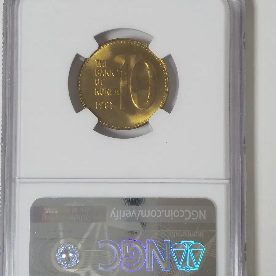 1981년10주 ngc66등급