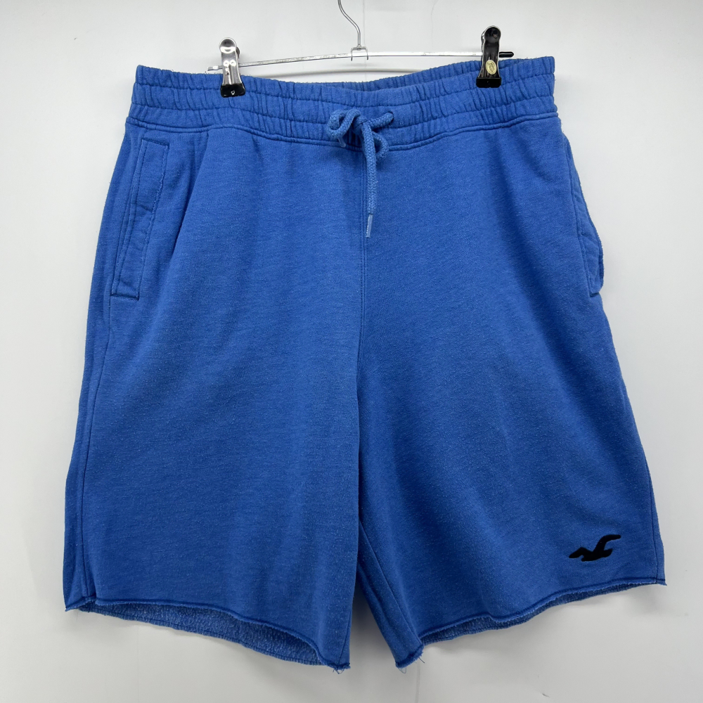 [Used] Medium Hollister Old School Boys' and Girls' Elasticized Pants Vahn Shorts