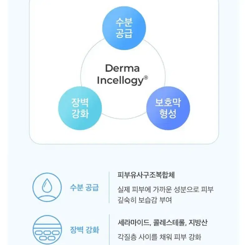 클레더마 울트라 인텐시브 크림