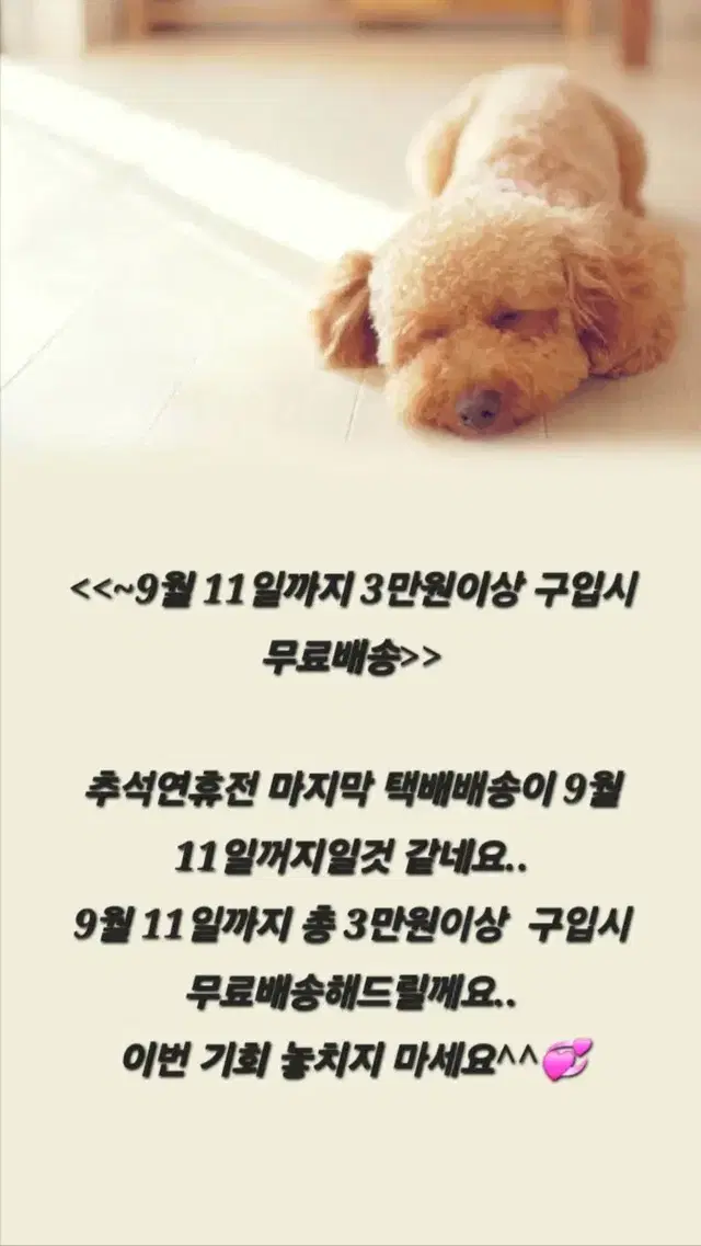 총 3만원이상 구입시 무료배송(~9월 11일까지)