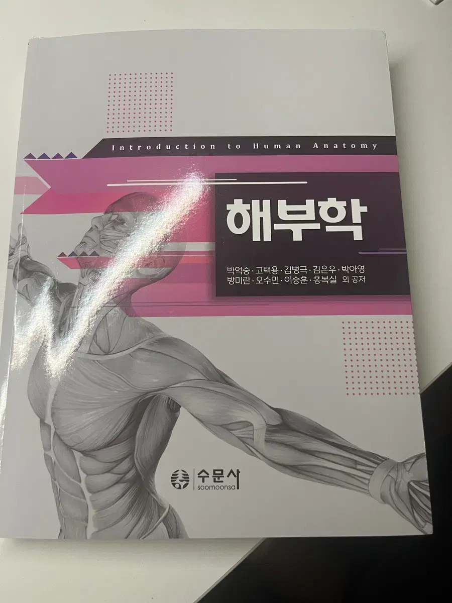 해부학 수문사 새책