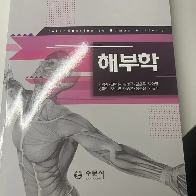 해부학 수문사 새책