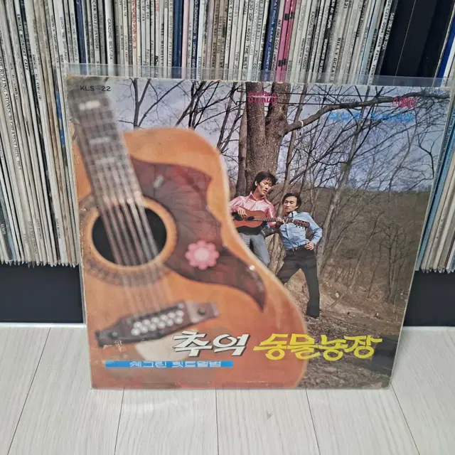 LP..쉐그린 초반(1975년)추억