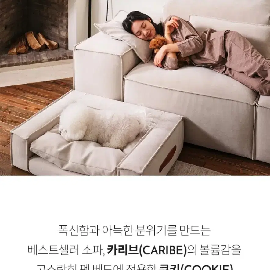 에싸 펫 베드