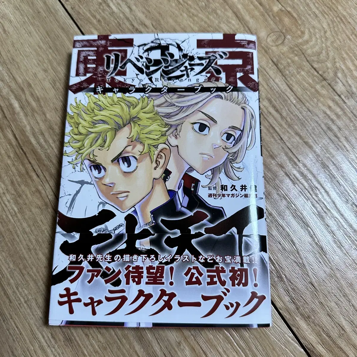 Doriben Heaven and Earth Manga Book Japanese Original