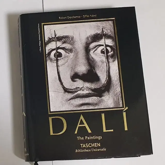 달리 DALI The Paintings 예술 도록 도서 서적 명화 미술