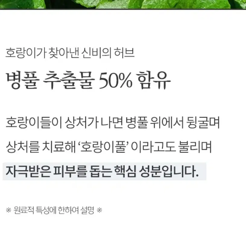 미개봉)각질 토너패드