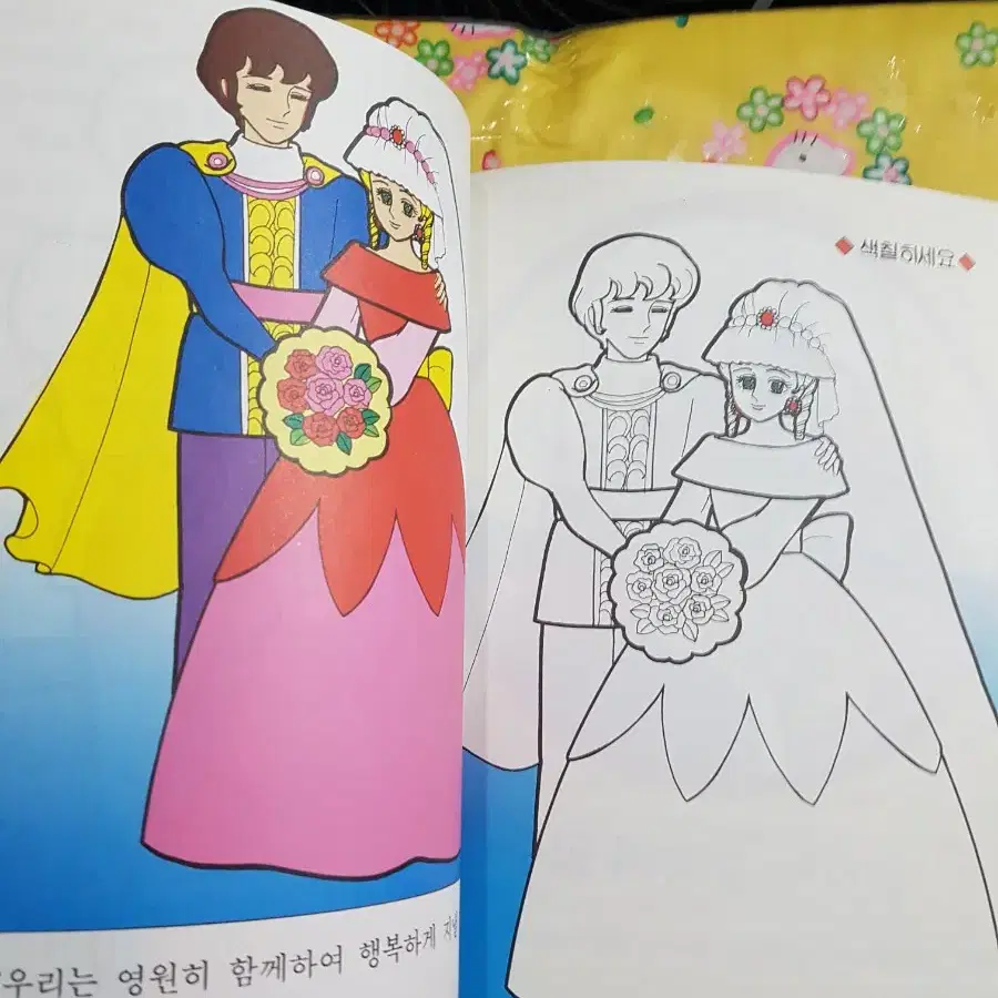 고전문구) 빈티지 옛날 백조의호수 도서 색칠공부