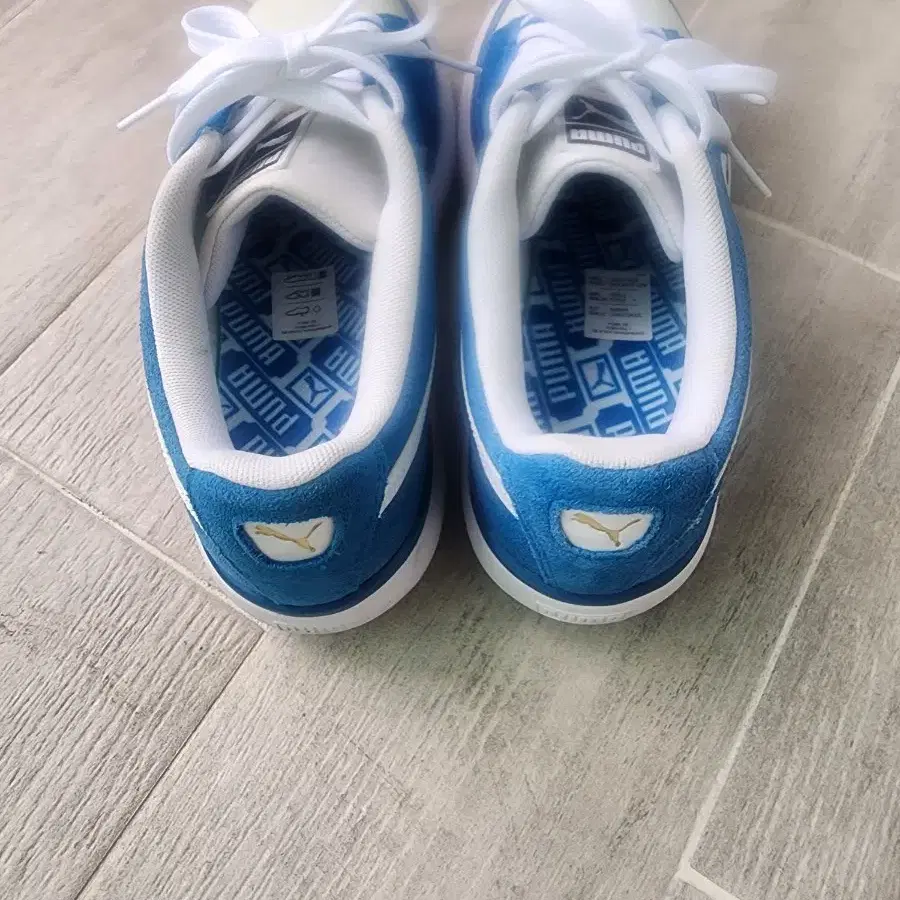 puma 신발 250