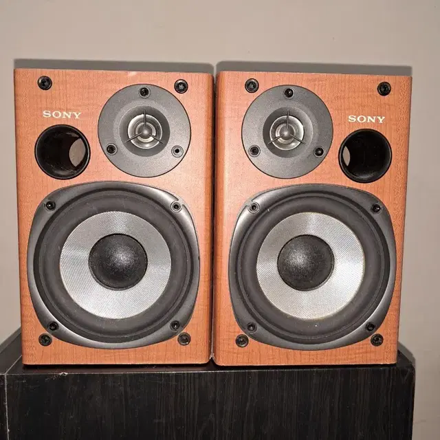 SONY 2WAY SS-CPX1 SPEAKER SET