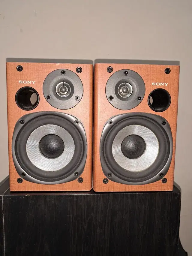 SONY 2WAY SS-CPX1 SPEAKER SET