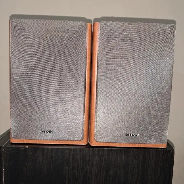 SONY 2WAY SS-CPX1 SPEAKER SET