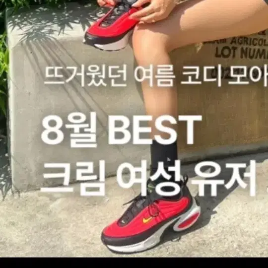 신발 이름아시는뷴잇나요