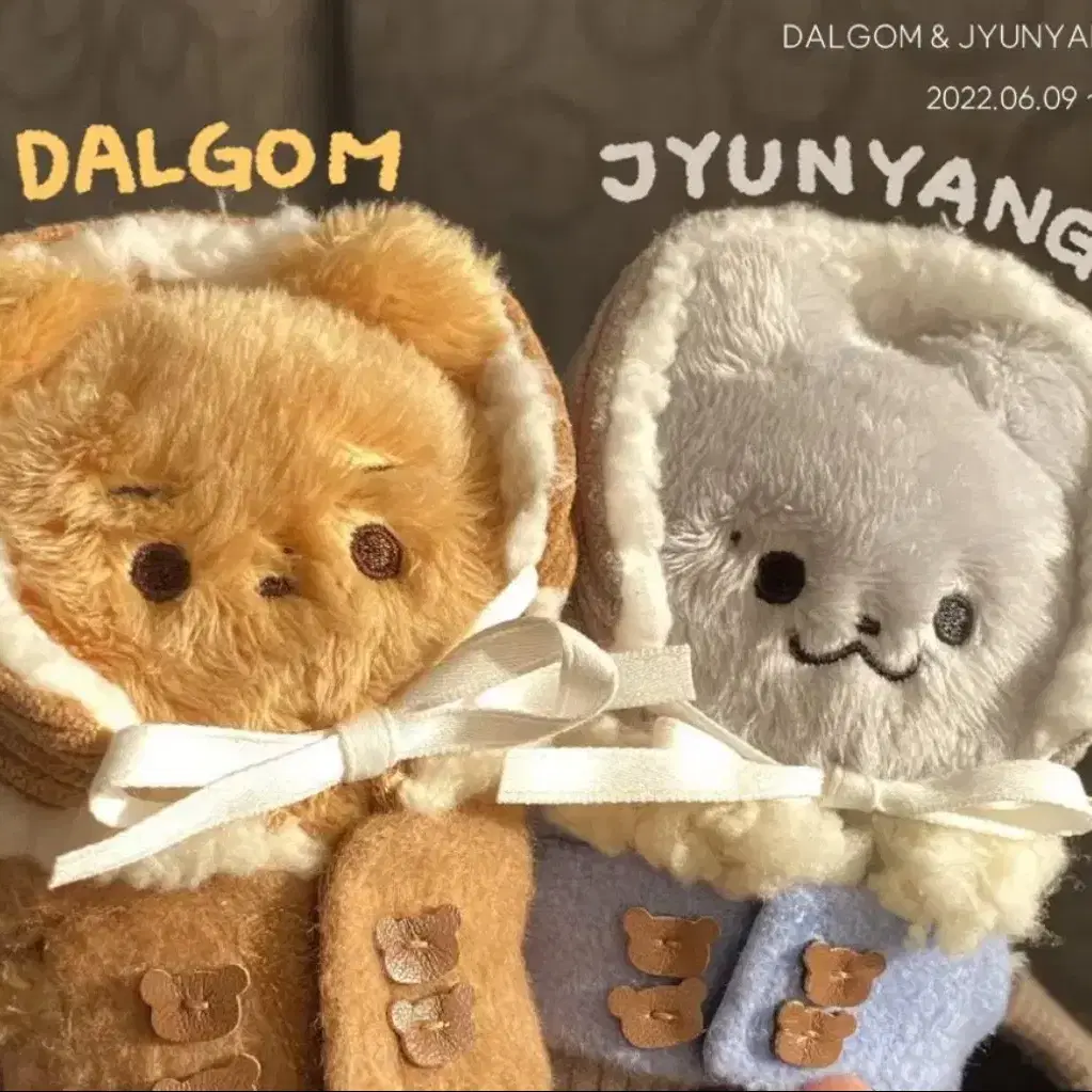 달곰 쥬냥이 구합니다