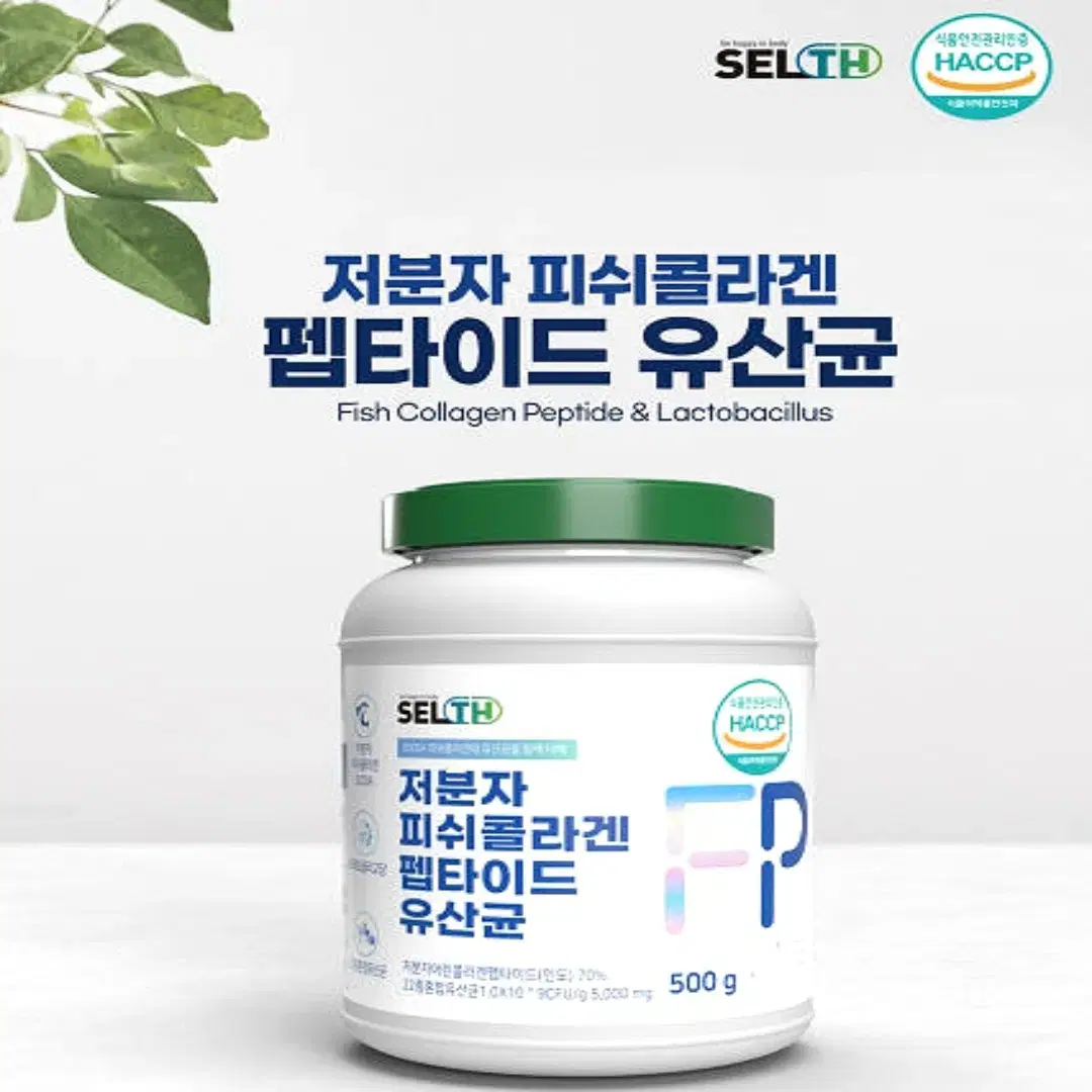 셀스 저분자피쉬 콜라겐 300Da 프락토올리고당 유산균 가루 500g1병