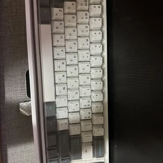 FC660MBT PD 화이트 그레이