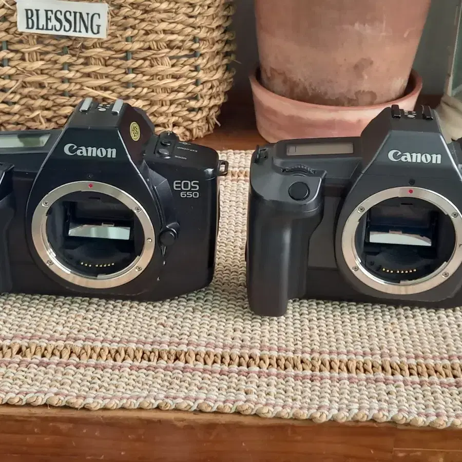 케논 CANON 필름카메라 바디