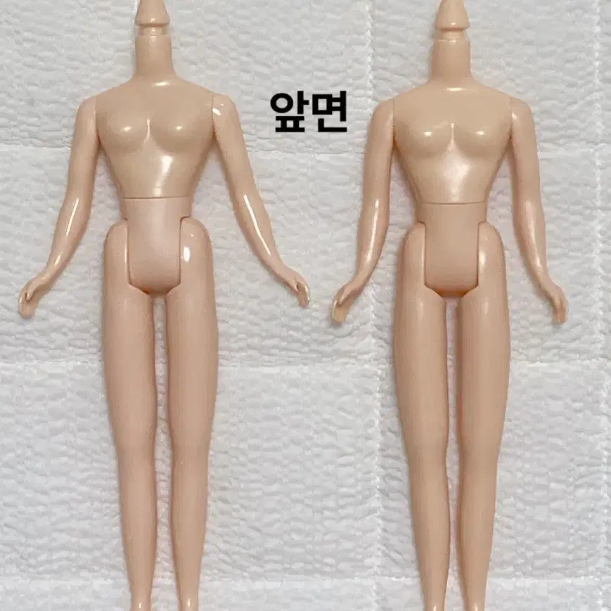 네오브라이스 정품 네일바디 (블라이스 육일돌인형 커스텀용)