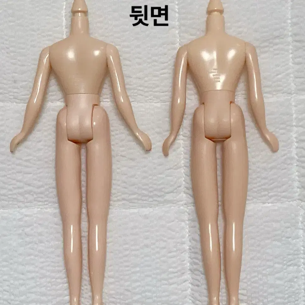 네오브라이스 정품 네일바디 (블라이스 육일돌인형 커스텀용)