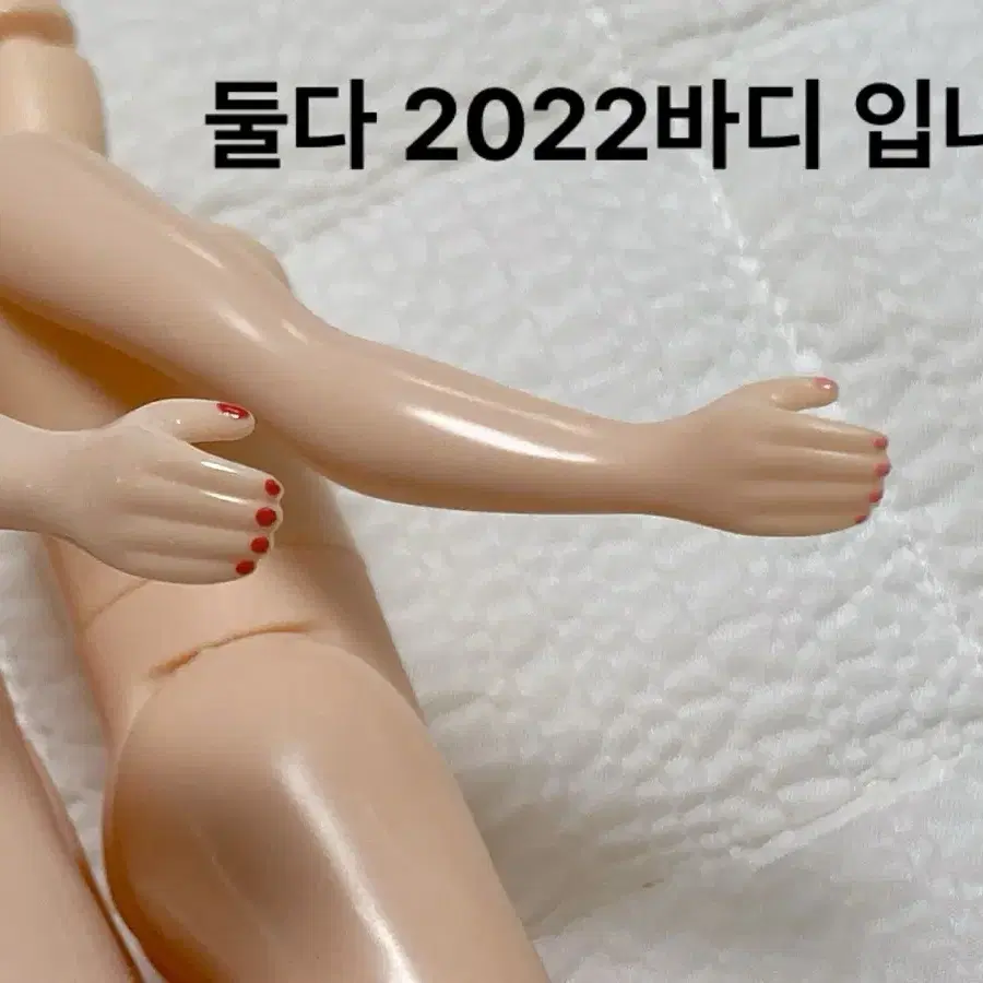 네오브라이스 정품 네일바디 (블라이스 육일돌인형 커스텀용)