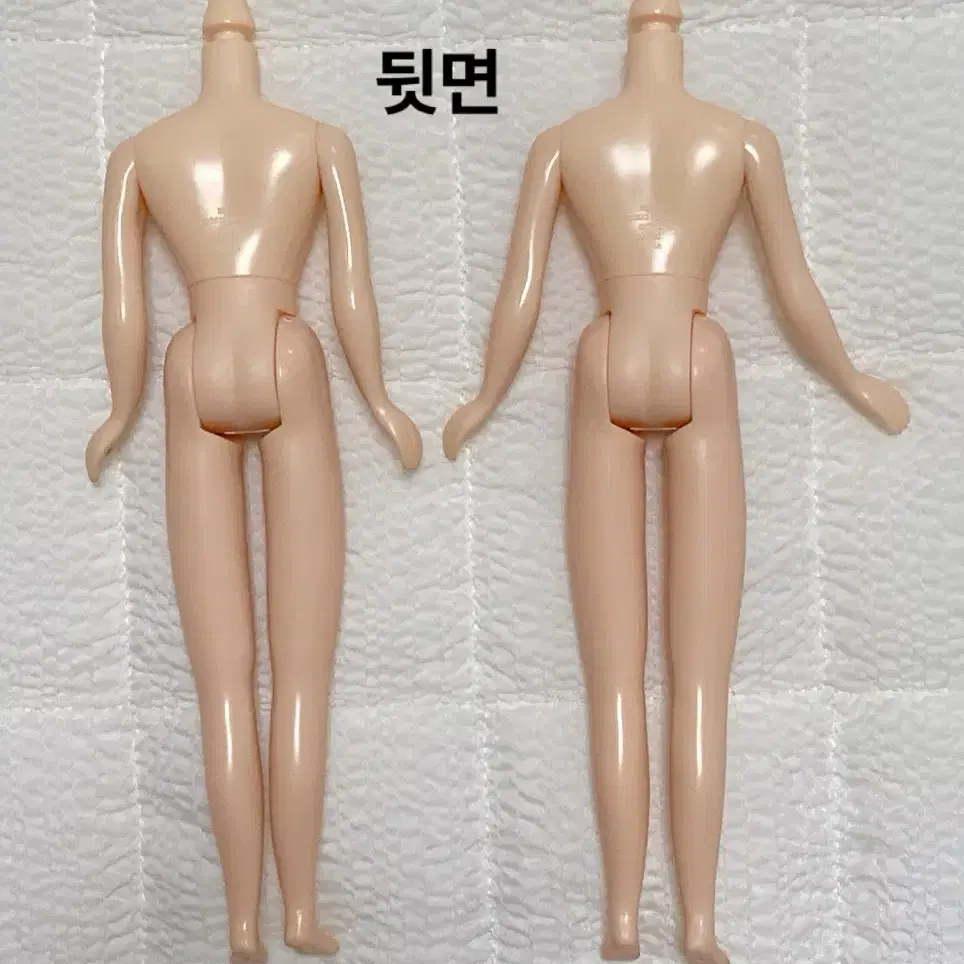 네오브라이스 정품 네일바디 (블라이스 육일돌인형 커스텀용)