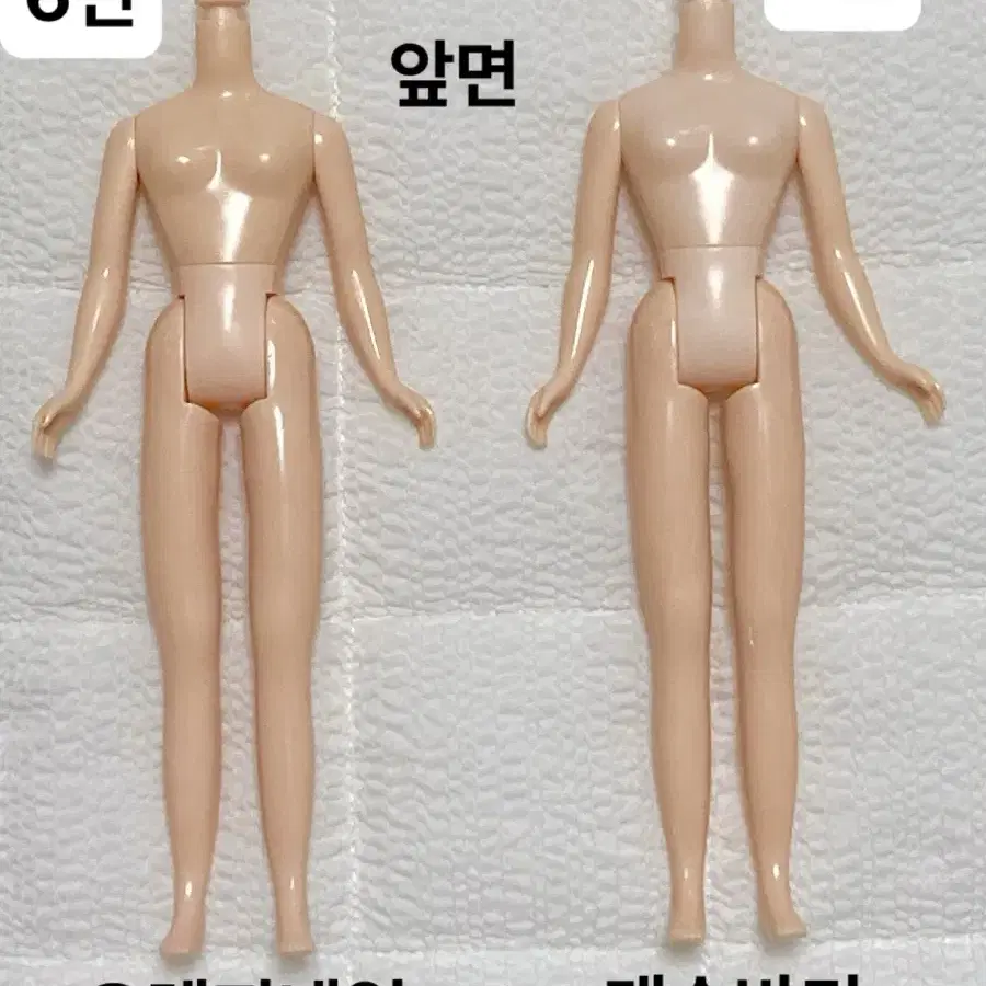 네오브라이스 정품 네일바디 (블라이스 육일돌인형 커스텀용)