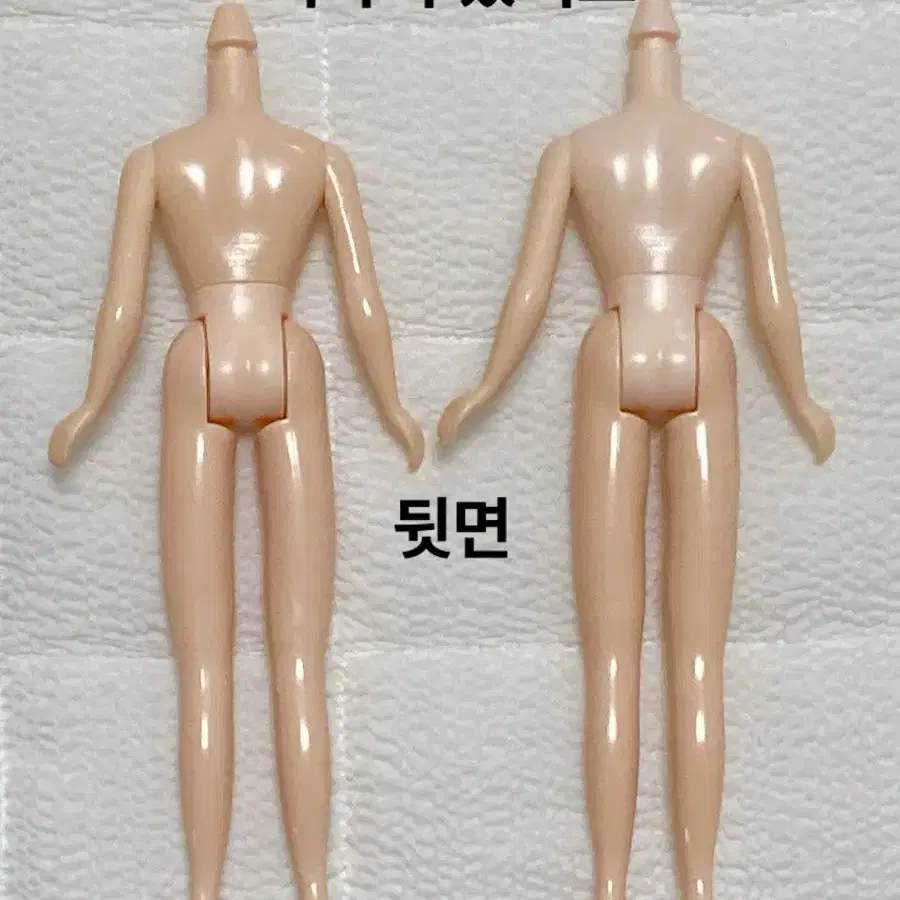 네오브라이스 정품 네일바디 (블라이스 육일돌인형 커스텀용)