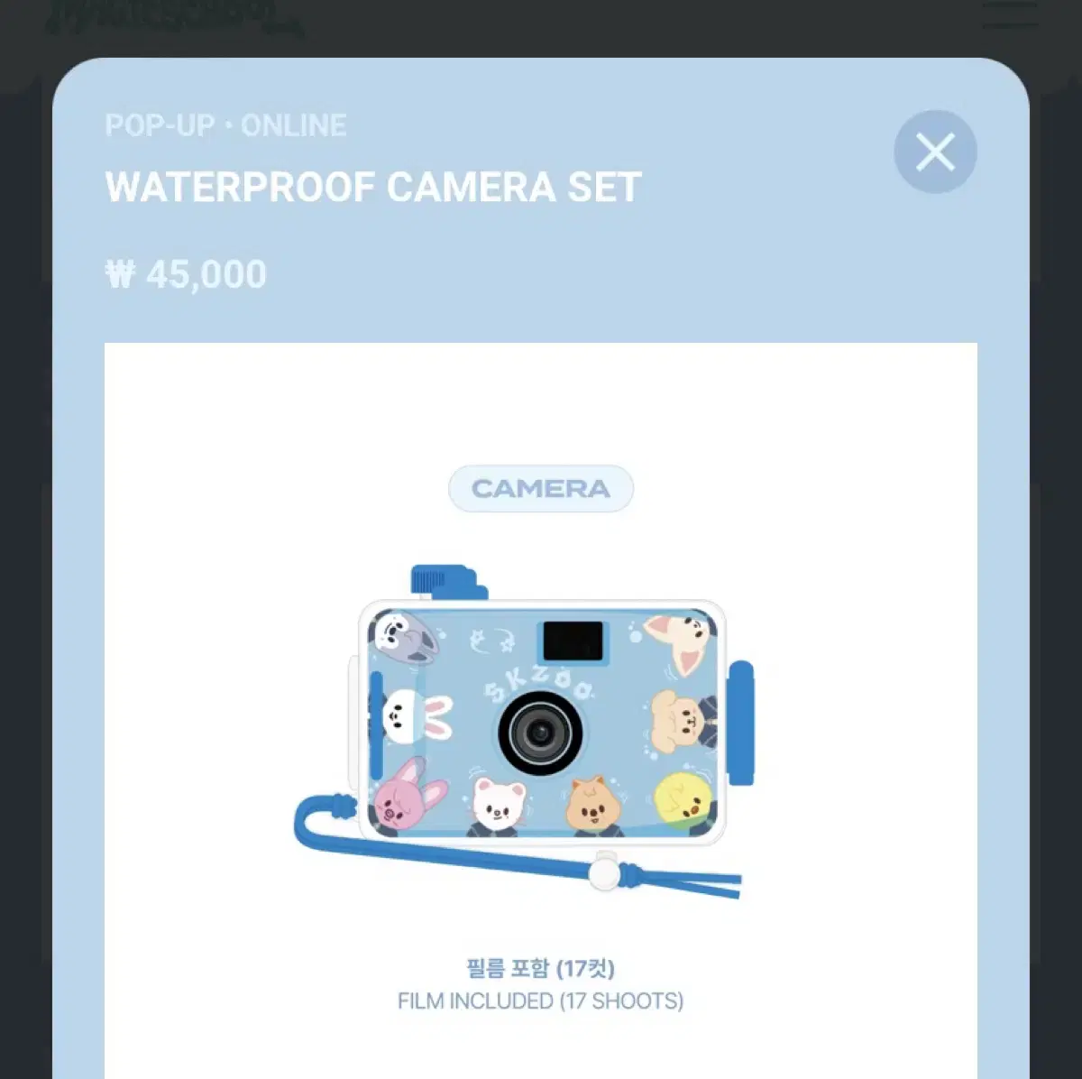 (급전)스키즈 부산팝업 WATERPROOF CAMERA(필름포함)+덤