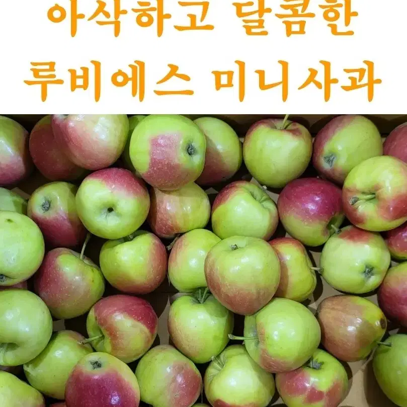 루비에스 미니사과 1kg 아이들간식