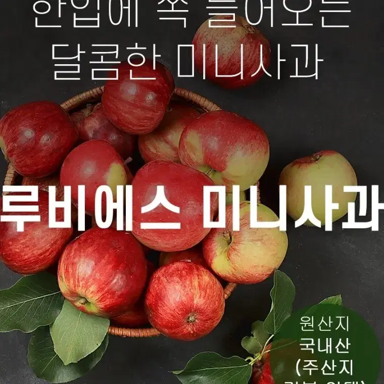 루비에스 미니사과 1kg 아이들간식