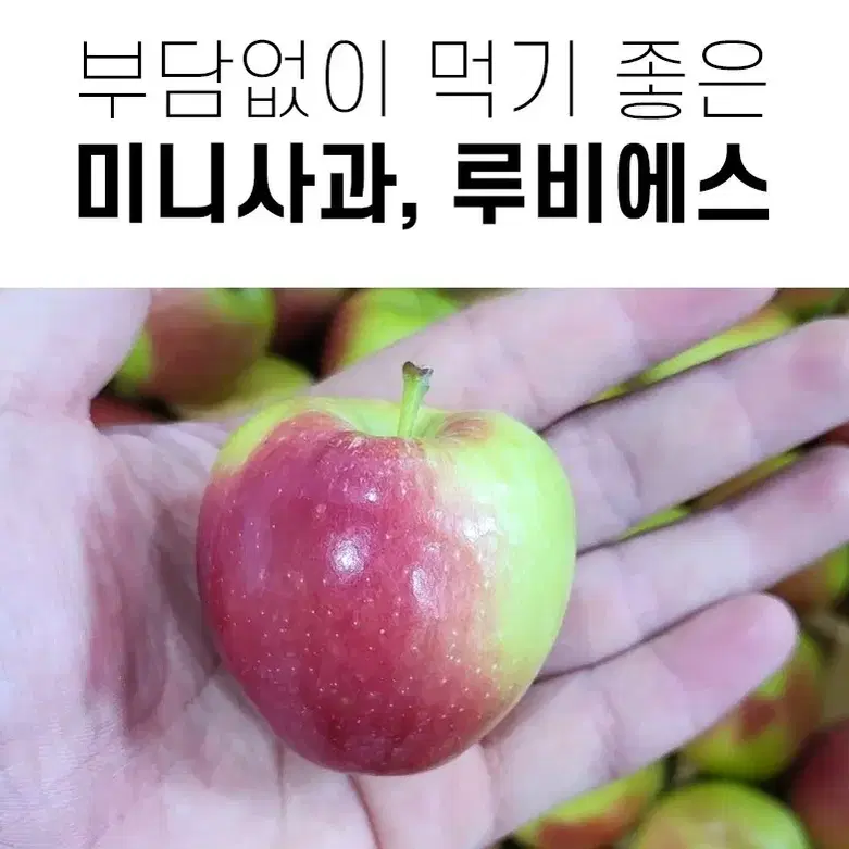 루비에스 미니사과 1kg 아이들간식