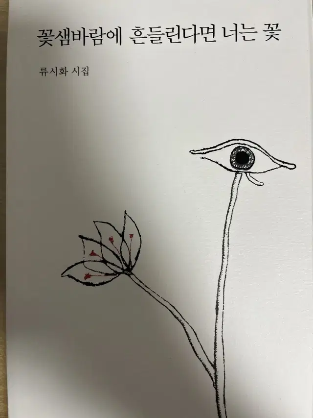 꽃샘바람에 흔들린다면 너는 꽃 류시화 시집