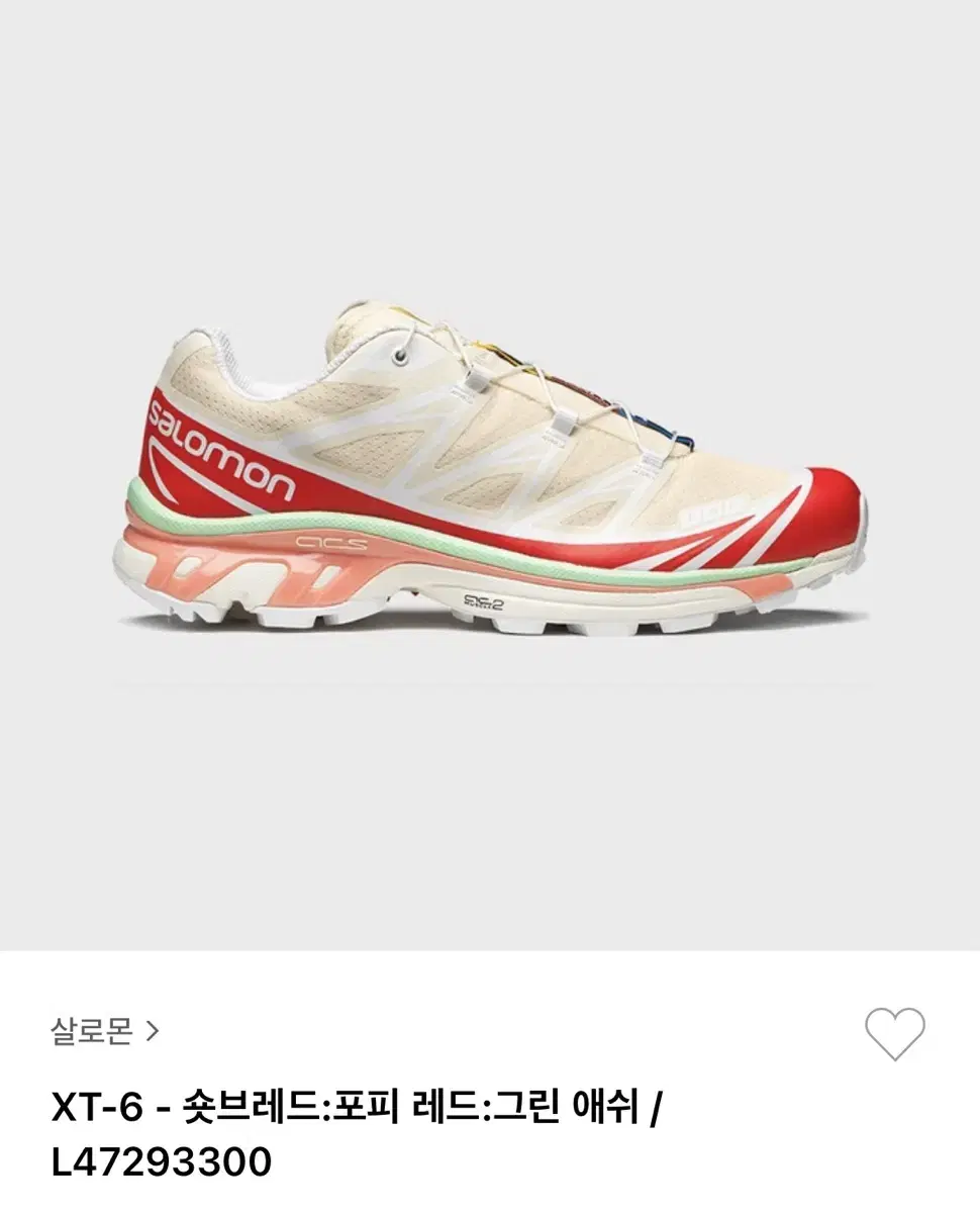 살로몬  XT-6 245사이즈