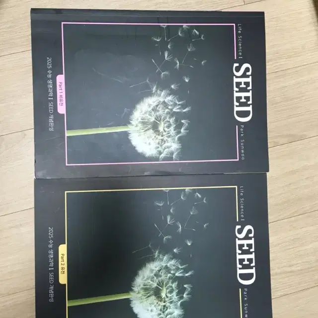 박선우 SEED