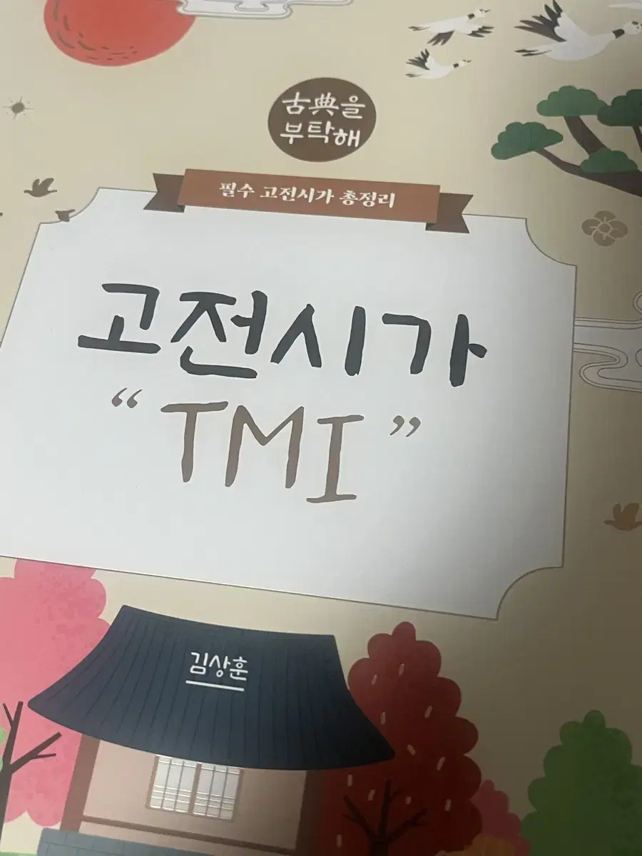 미사용) 메가스터디 김상훈 고전시가 tmi 양도 판매 팔아요