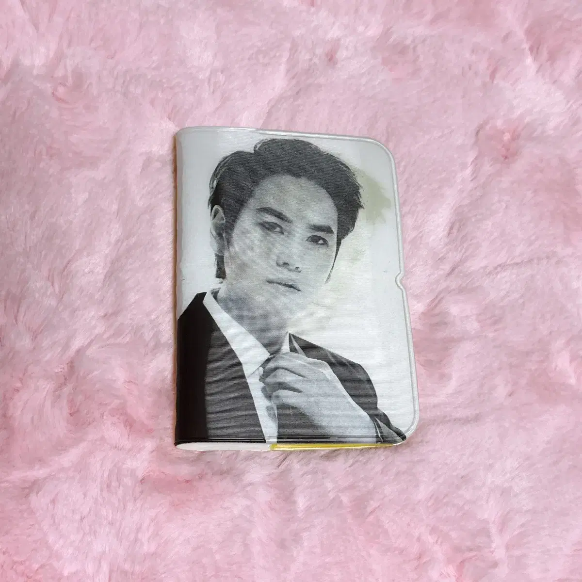 Super Junior Shoojoo Shoojooem Swing cho kyuhyun kyuhyun Kard Wallet Collectbook