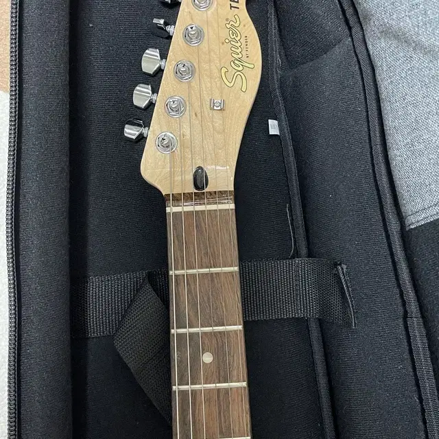 스콰이어 Affinity Telecaster Laurel WPG OLW