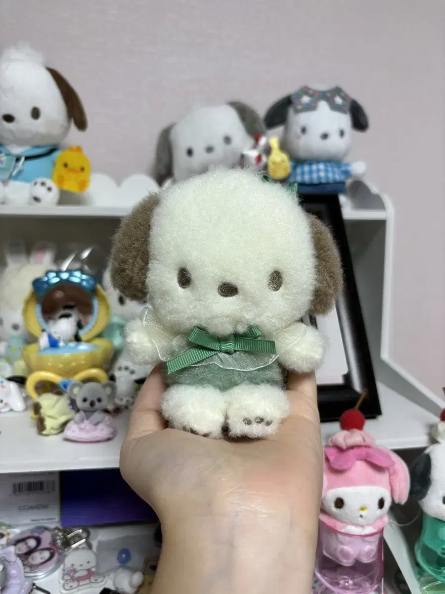 San Rio Genuine gaeul Morrist Pochaco Fluffy Mascot