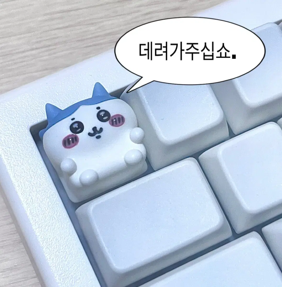 GMK67 키보드 제안해주신분 연락주세요! 실수로 취소해버렸어요!!