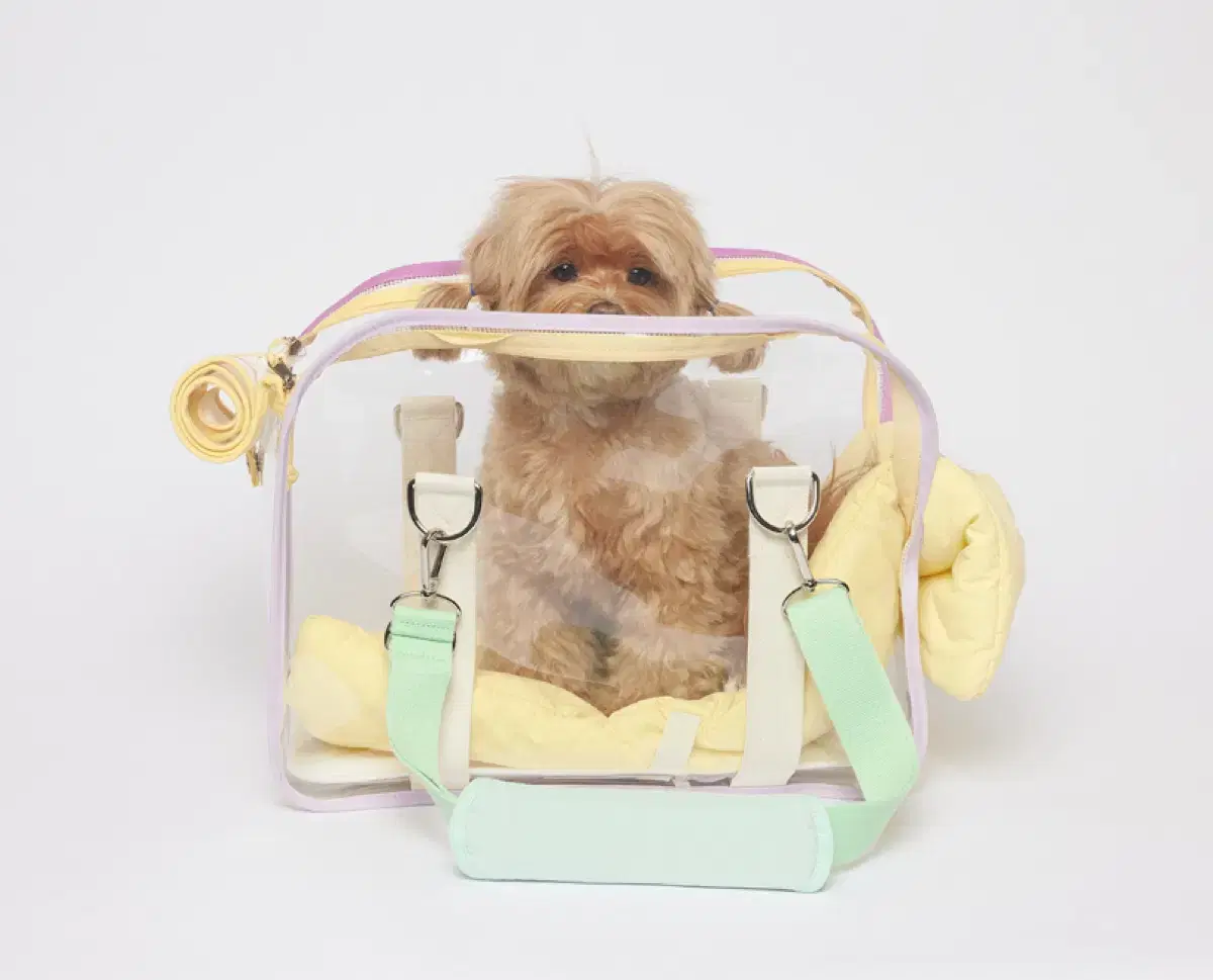 Couture One of Us Clear Bag Dog Carrier Carry-on Bag Sweet Popping Can