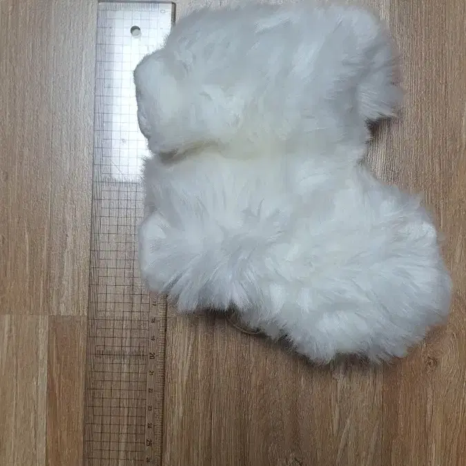 오로라 강아지 인형 판매합니다(20cm)